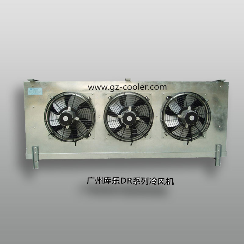 DR series air cooler